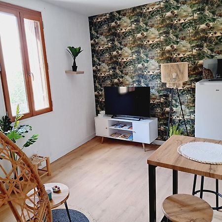 Le Jungle Appart, Centre Ville Narbonne Ngoại thất bức ảnh