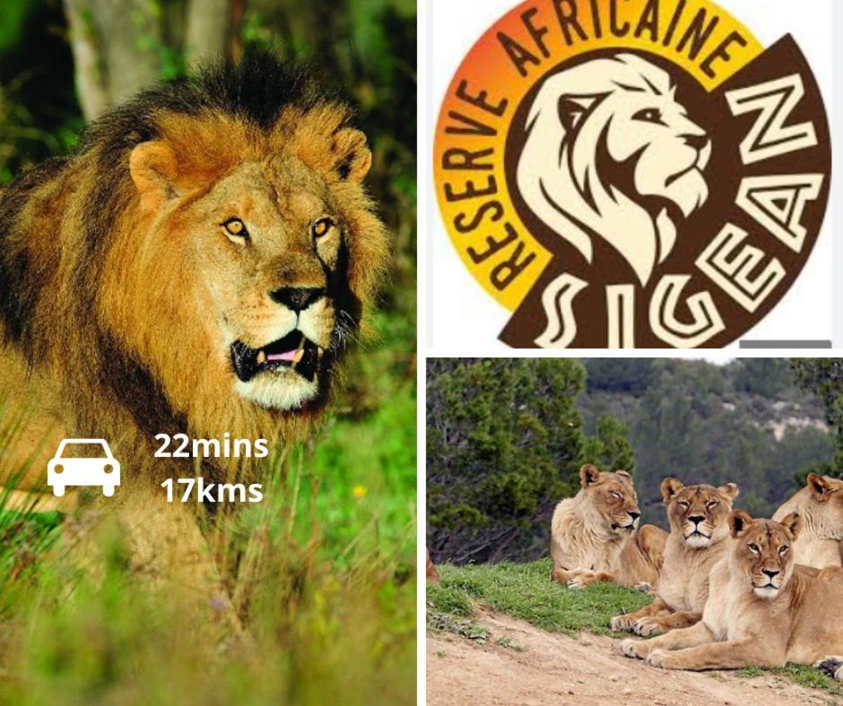 Le Jungle Appart, Centre Ville Narbonne Ngoại thất bức ảnh